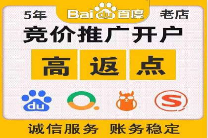 某品牌SEM广告投放的ROI提升案例
